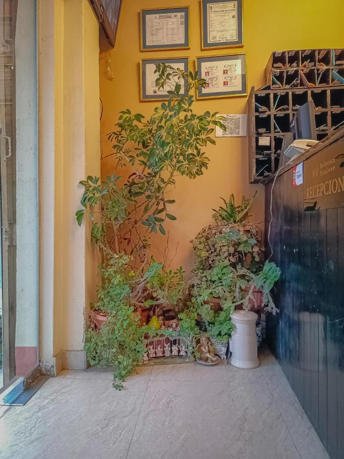 לה פאז Hostal Terrabella Srl מראה חיצוני תמונה